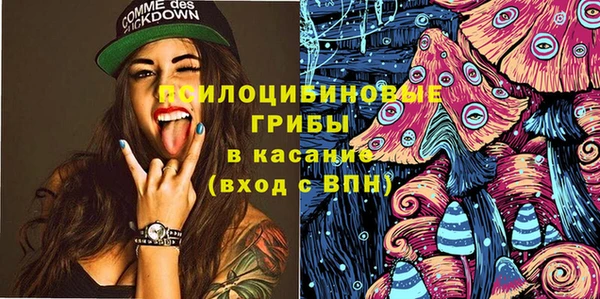 прущие грибы Липки